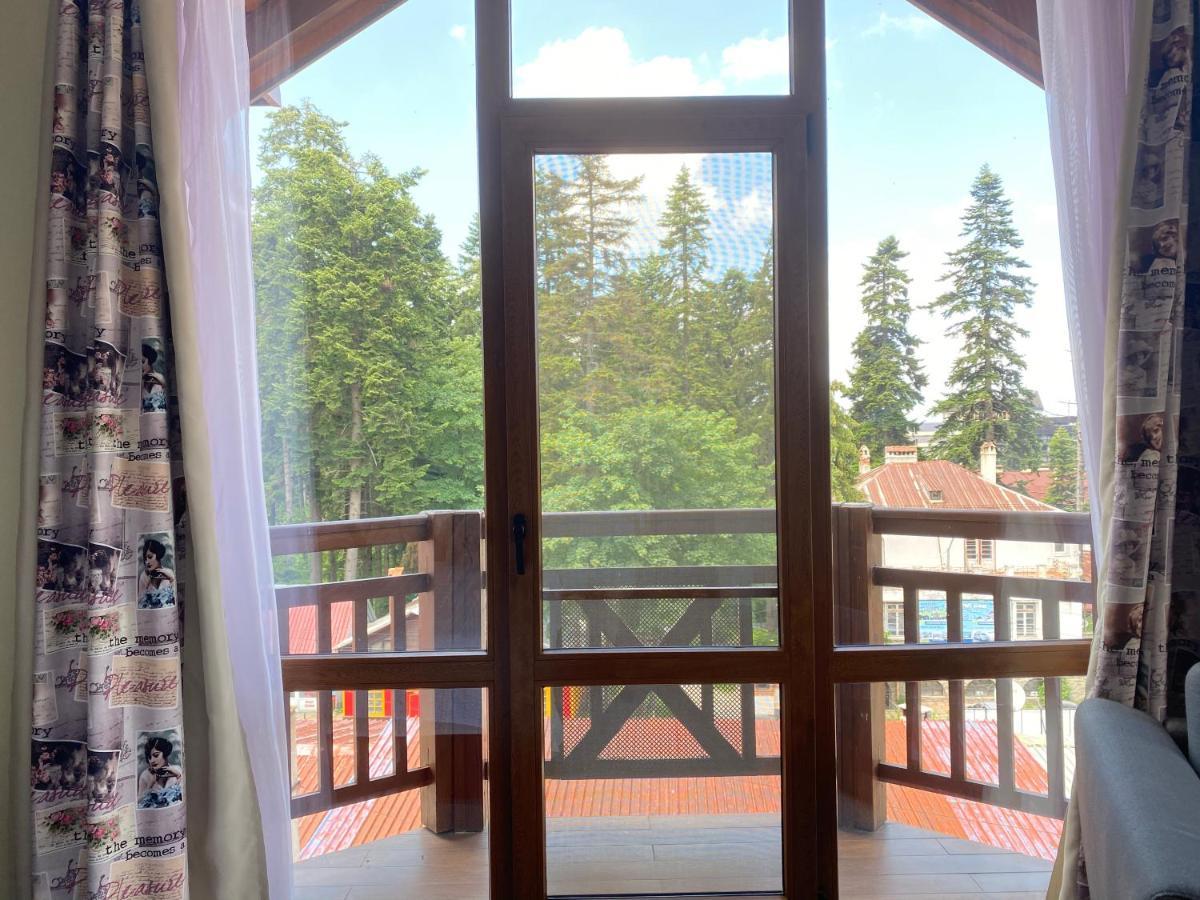 Ice Angels Hotel Borovets Bagian luar foto